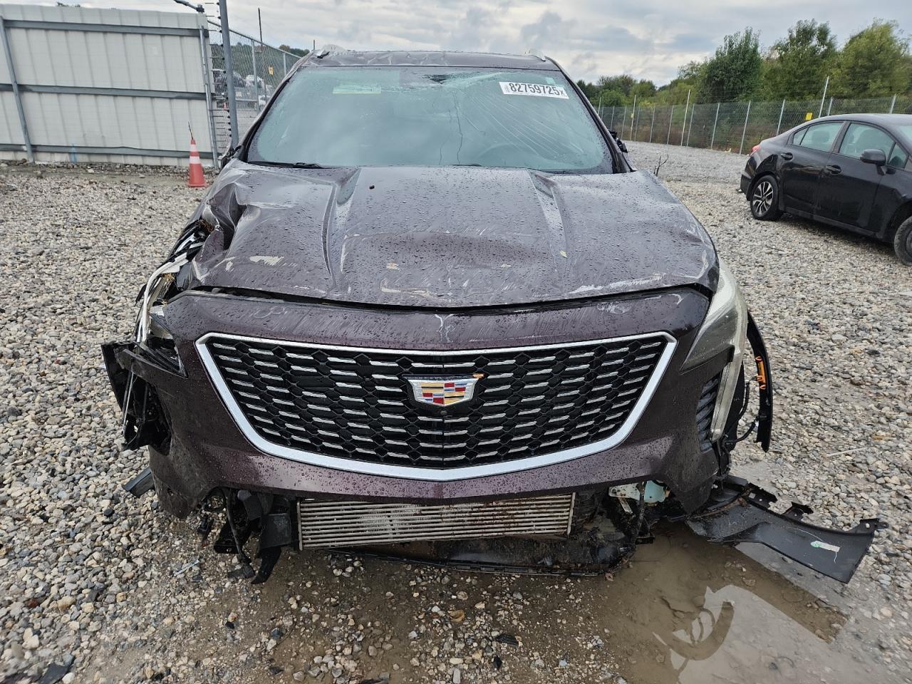 2020 Cadillac Xt4 Premium Luxury - Фото 5