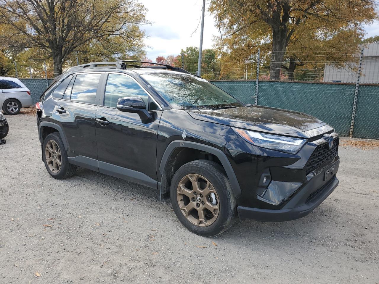 2024 Toyota Rav4 Woodland Edition - Фото 4