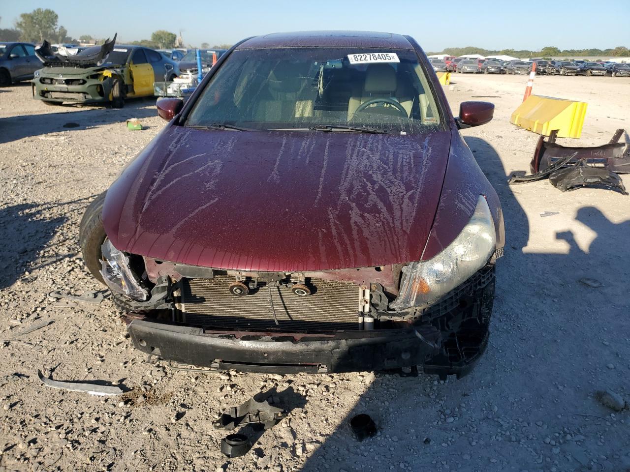 2009 Honda Accord Exl - Фото 5