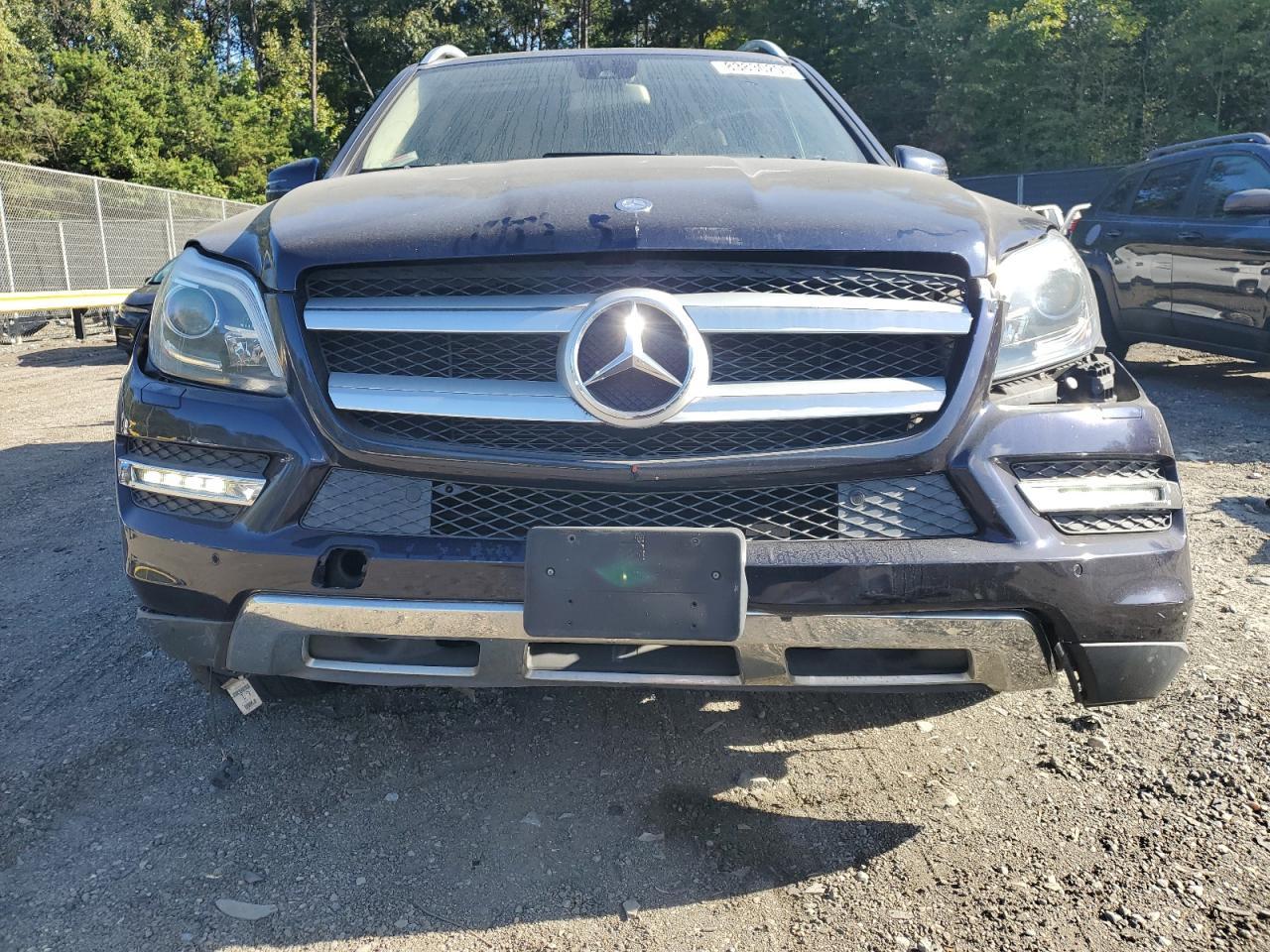 2013 Mercedes-Benz Gl 450 4Matic - Фото 5