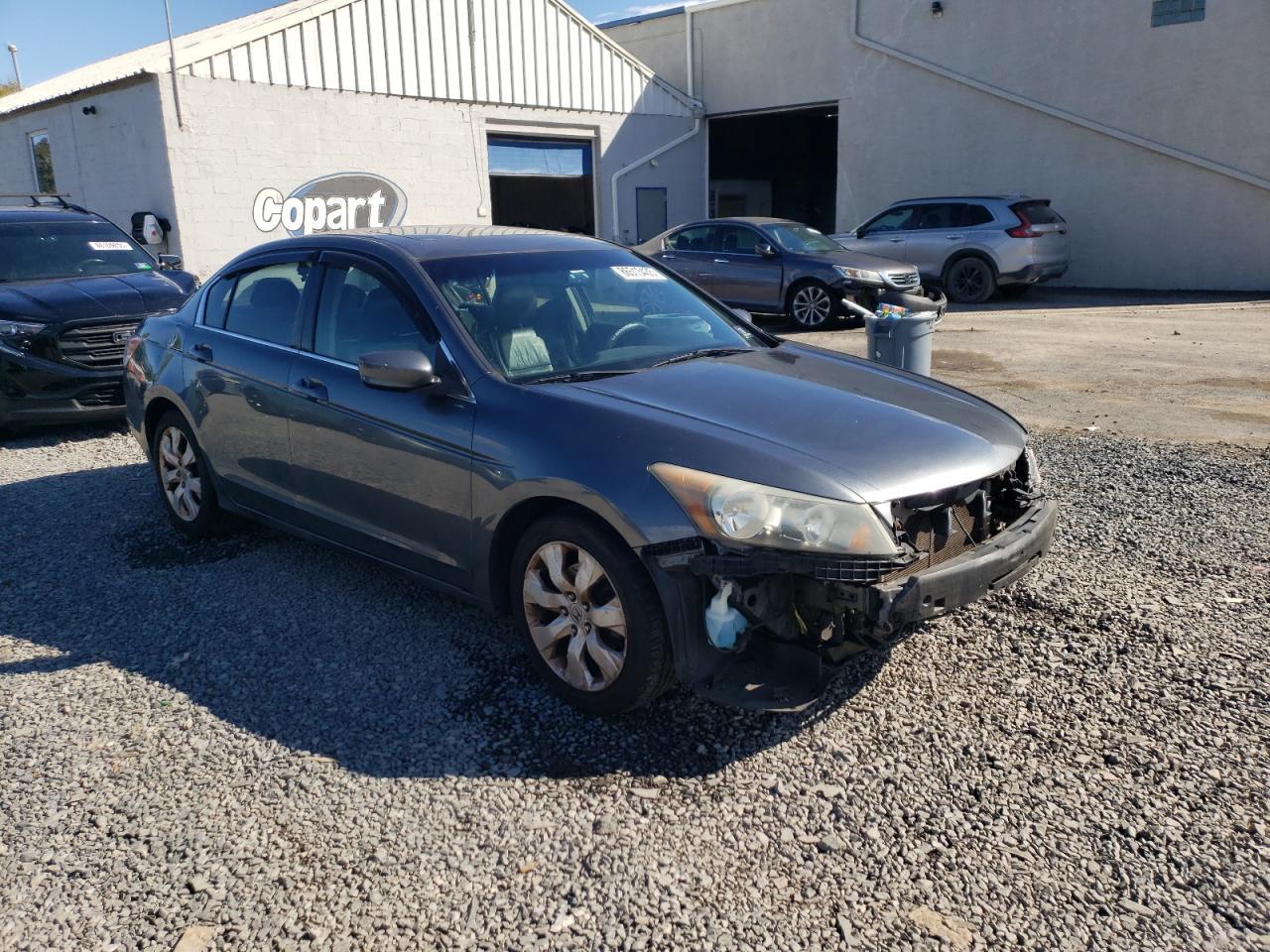 2010 Honda Accord Exl - Image 4