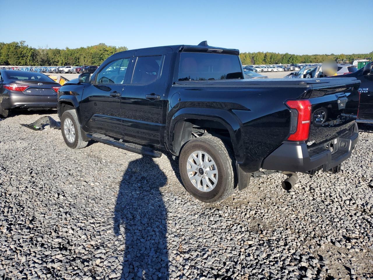 2024 Toyota Tacoma Double Cab - Фото 2