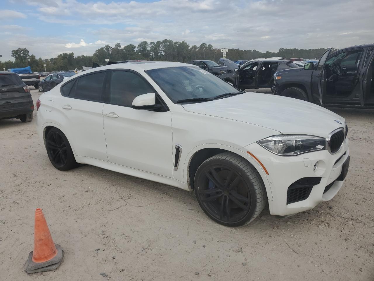 2018 BMW X6 M - Image 4