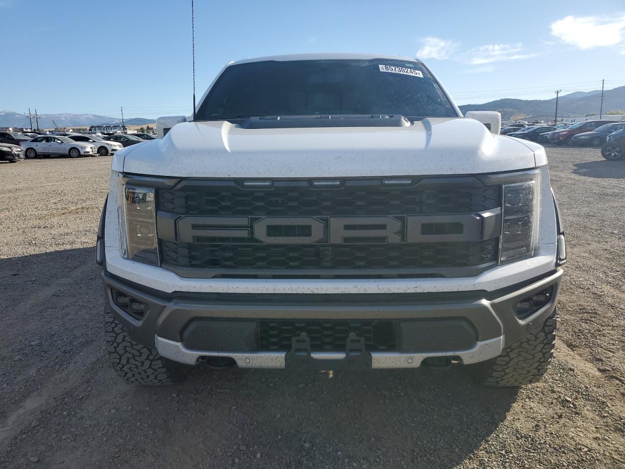 2022 Ford F150 Raptor - Фото 5
