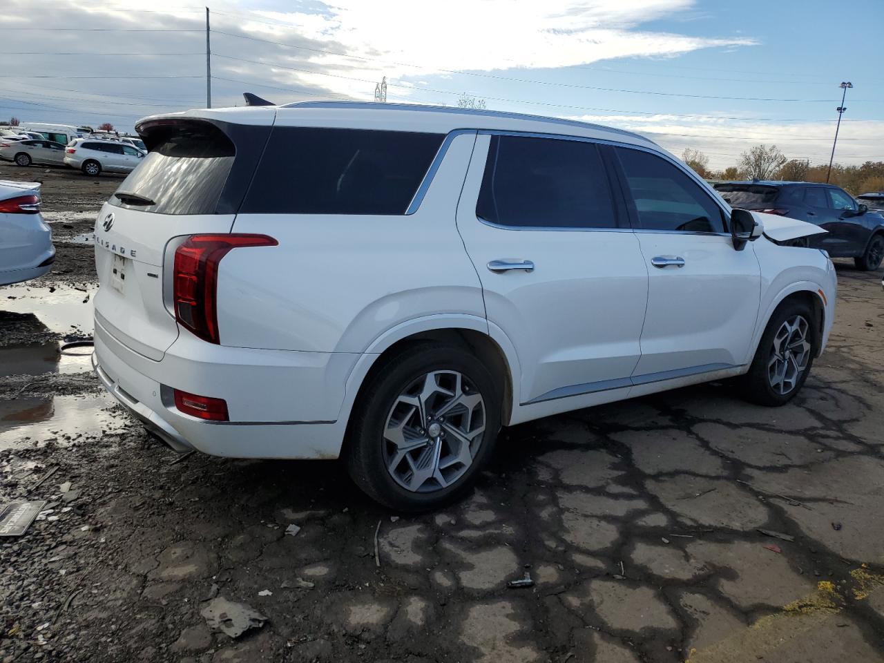 2021 Hyundai Palisade Limited - Фото 3