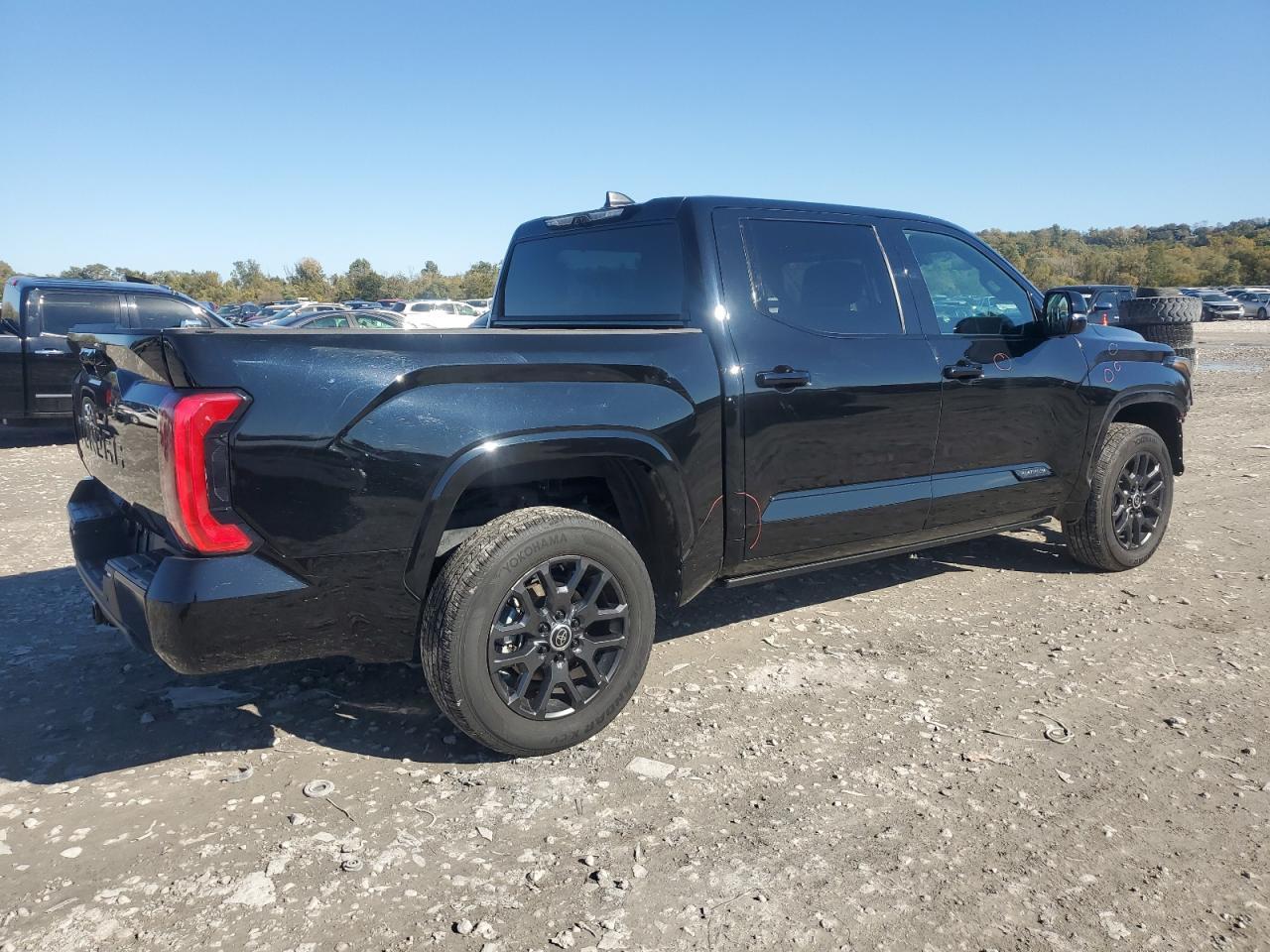 2024 Toyota Tundra Crewmax Platinum - Фото 3