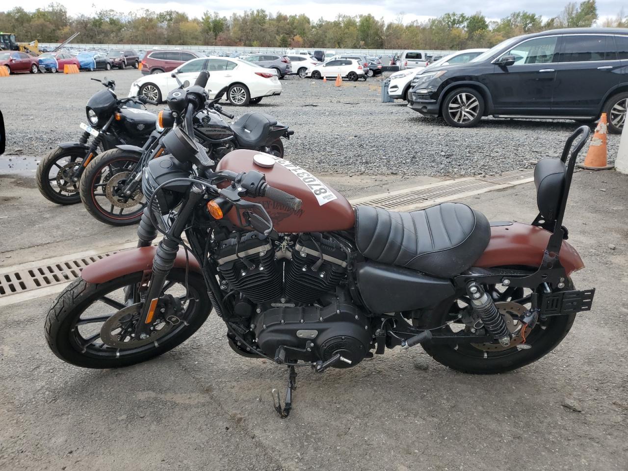 2017 Harley-Davidson Xl883 Iron 883 - Фото 3