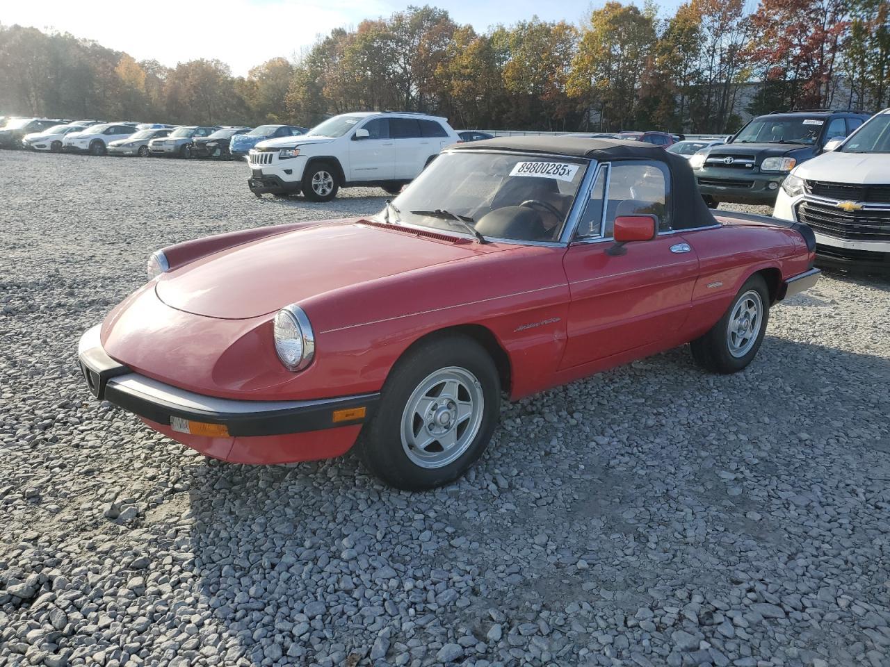 1989 Alfa Romeo Spider