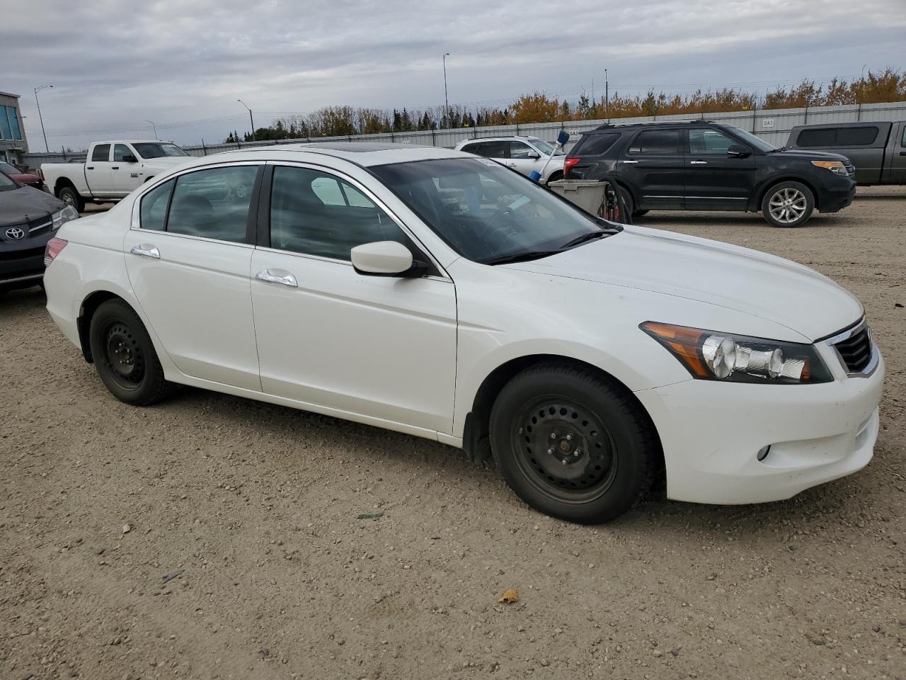 2009 Honda Accord Exl - Фото 4