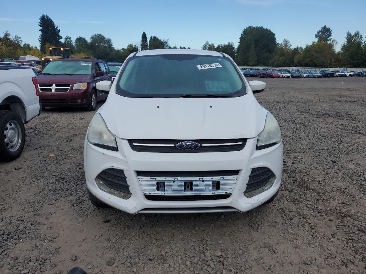 2013 Ford Escape Se - Фото 5