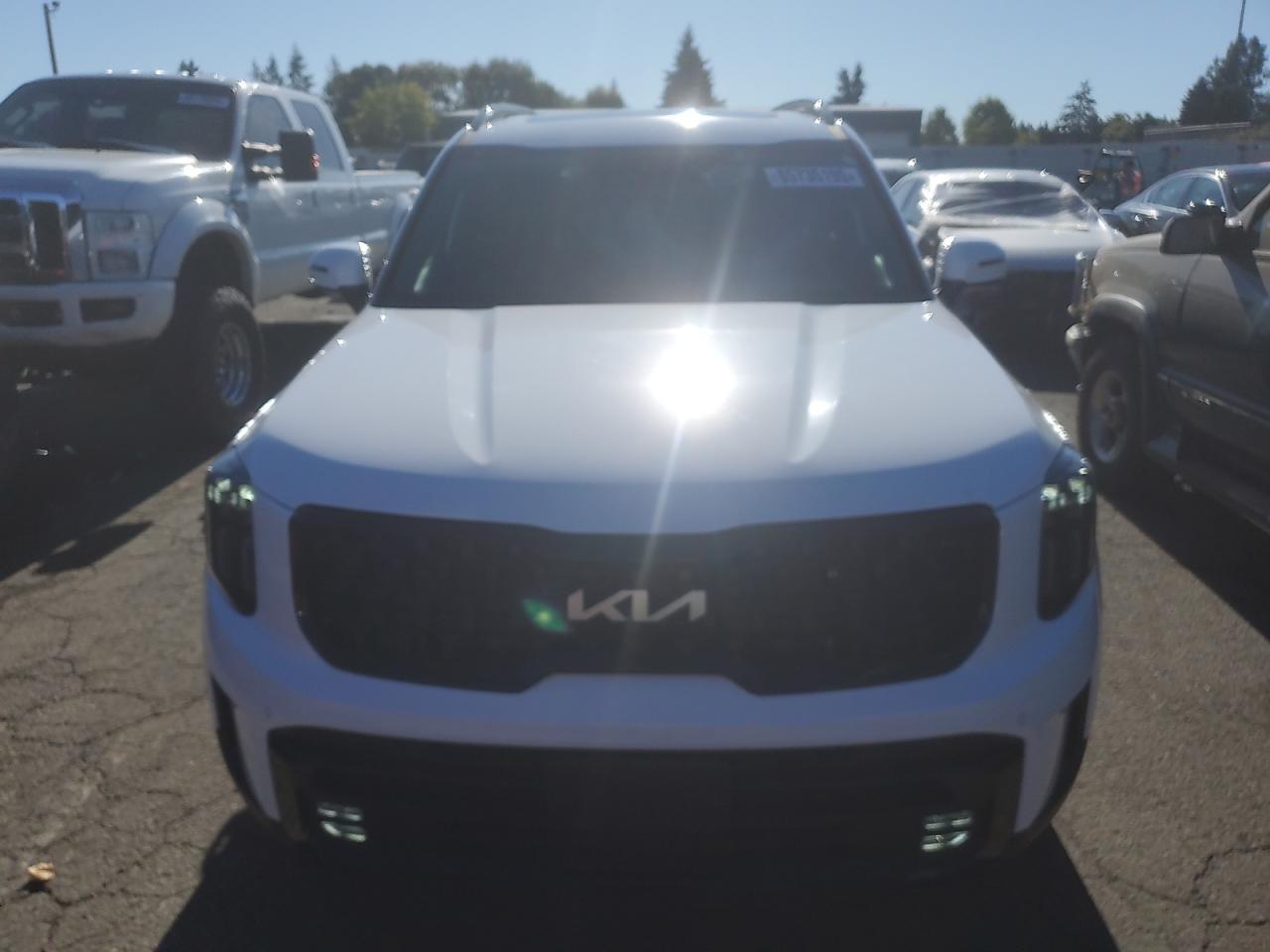 2024 Kia Telluride Sx - Фото 5