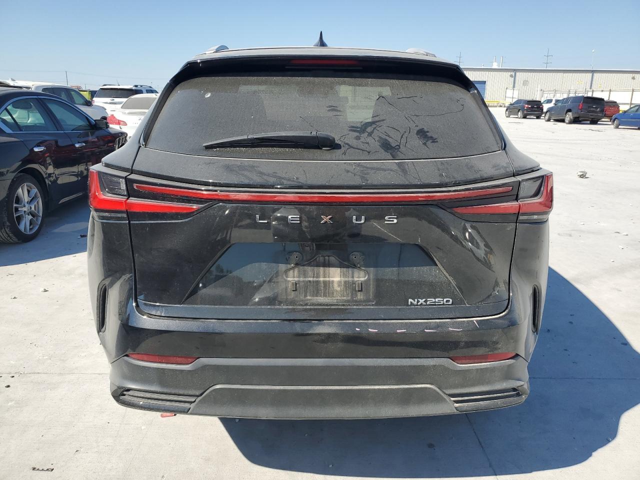2024 Lexus Nx 250 Base - Фото 6