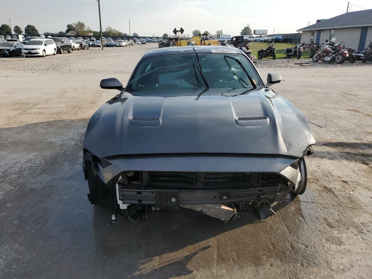 2019 Ford Mustang - Фото 5