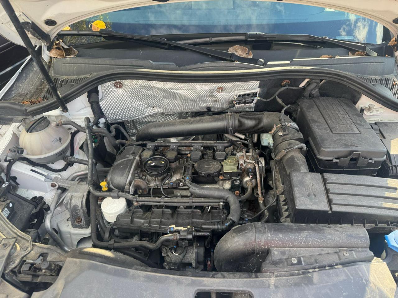 2015 Audi Q3 Premium Plus - Фото 7