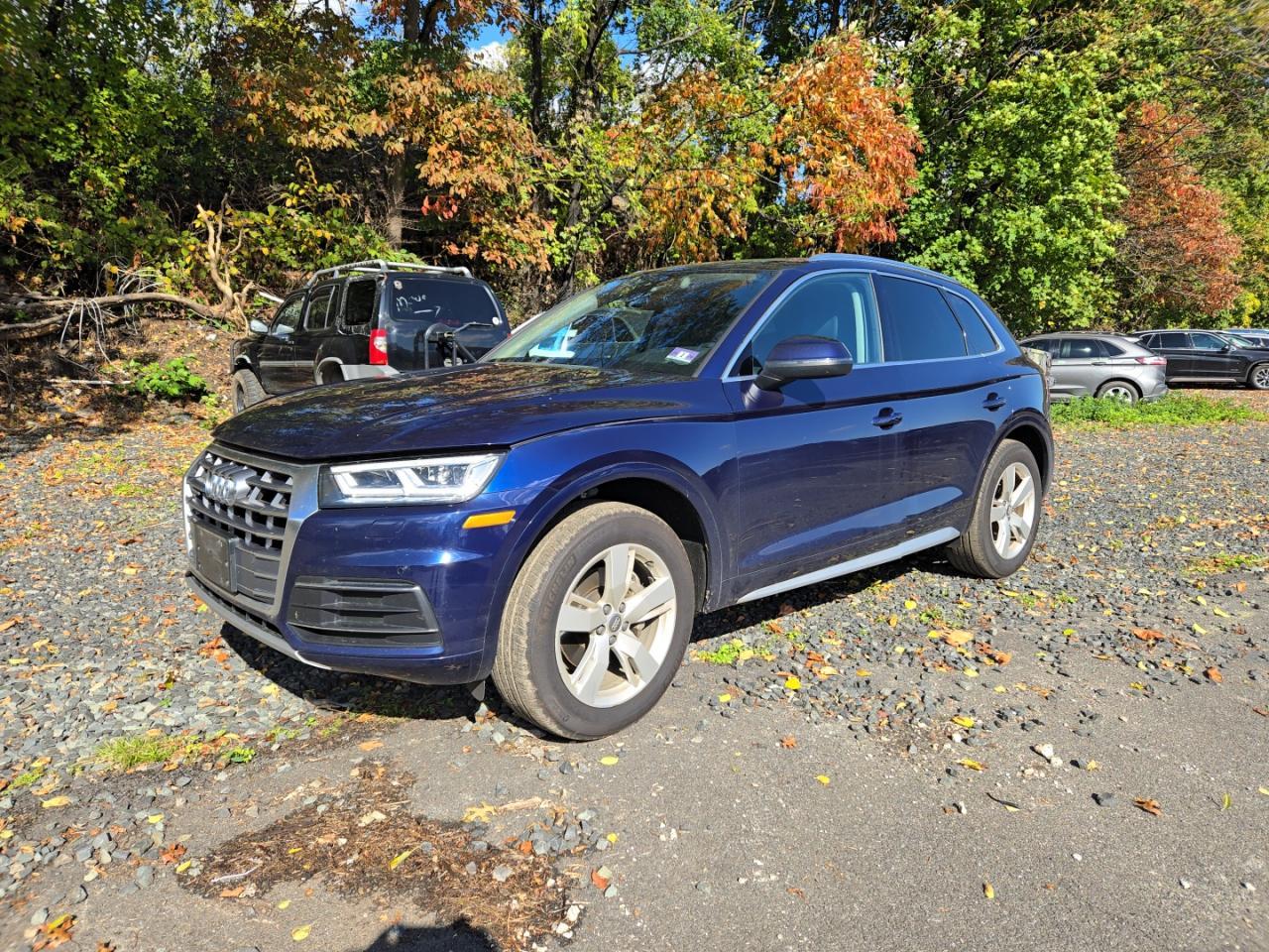 2019 Audi Q5 Premium Plus - Фото 2