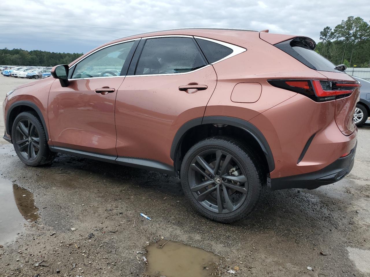 2025 Lexus Nx 450H Luxury - Фото 2