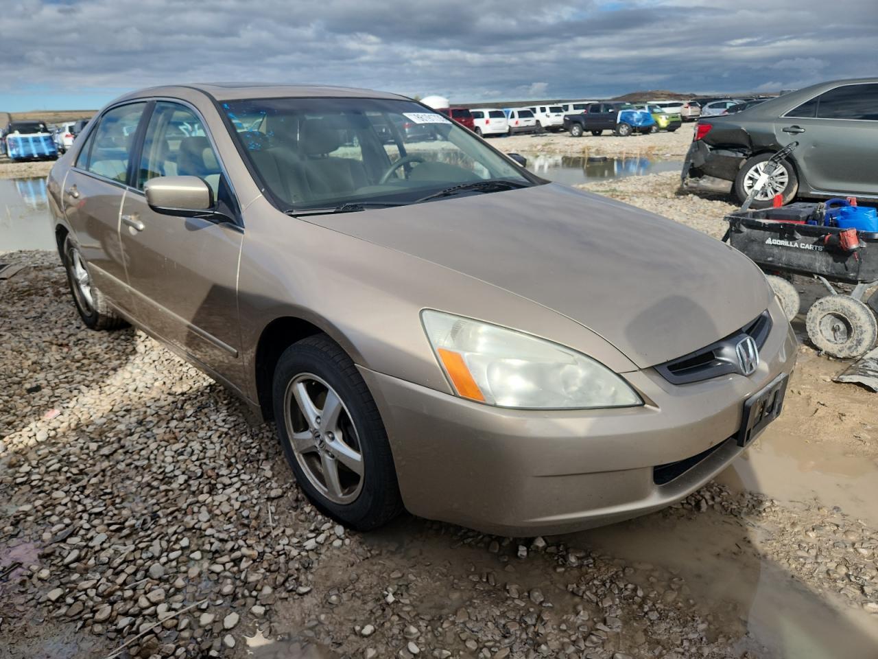 2005 Honda Accord Ex - Фото 4