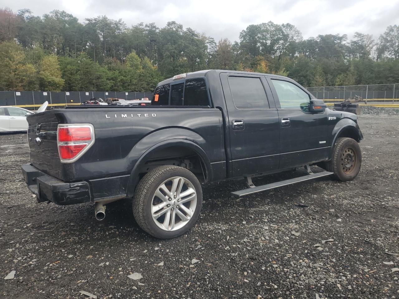 2013 Ford F150 Supercrew - Фото 3