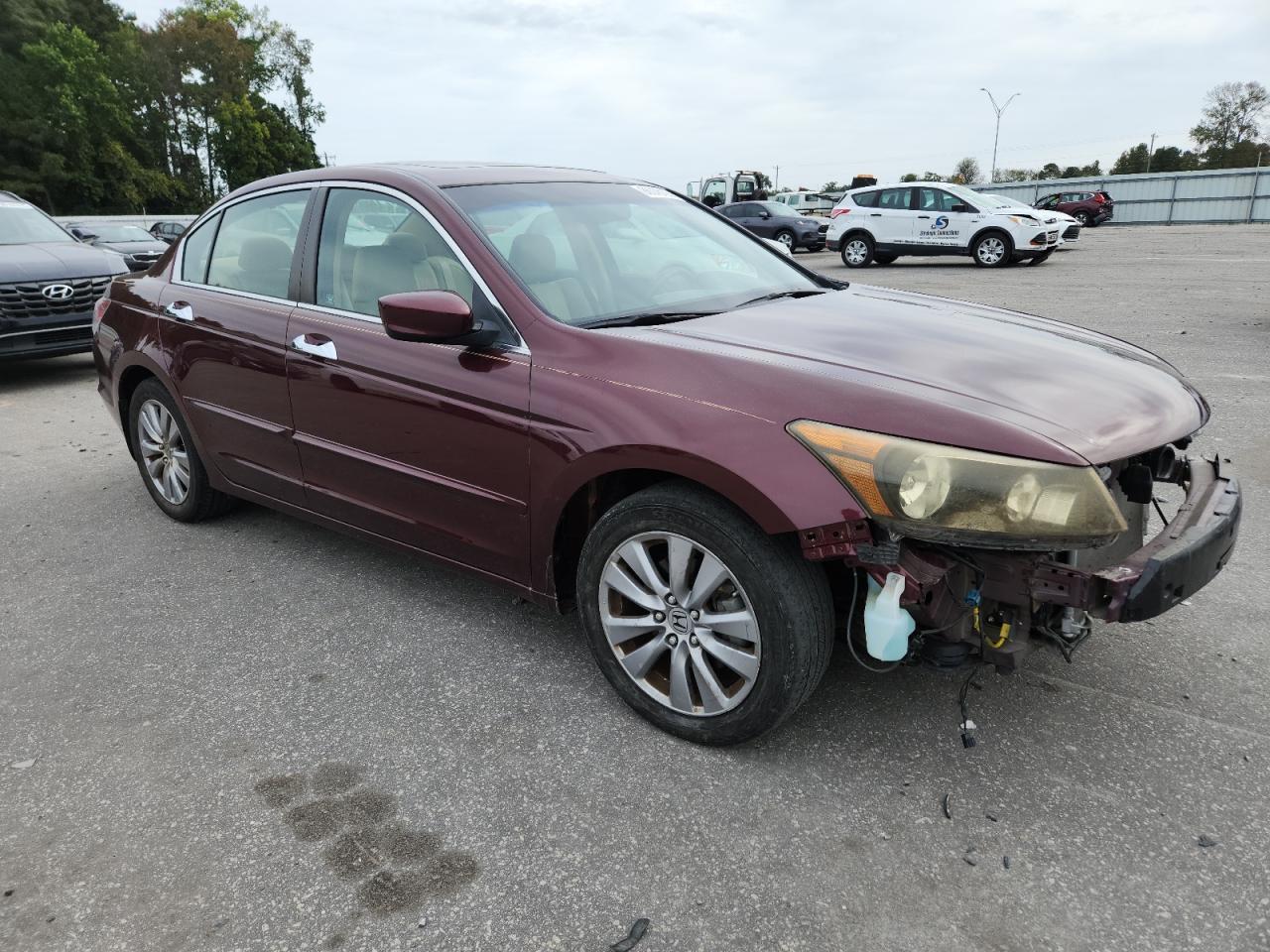 2011 Honda Accord Exl - Фото 4