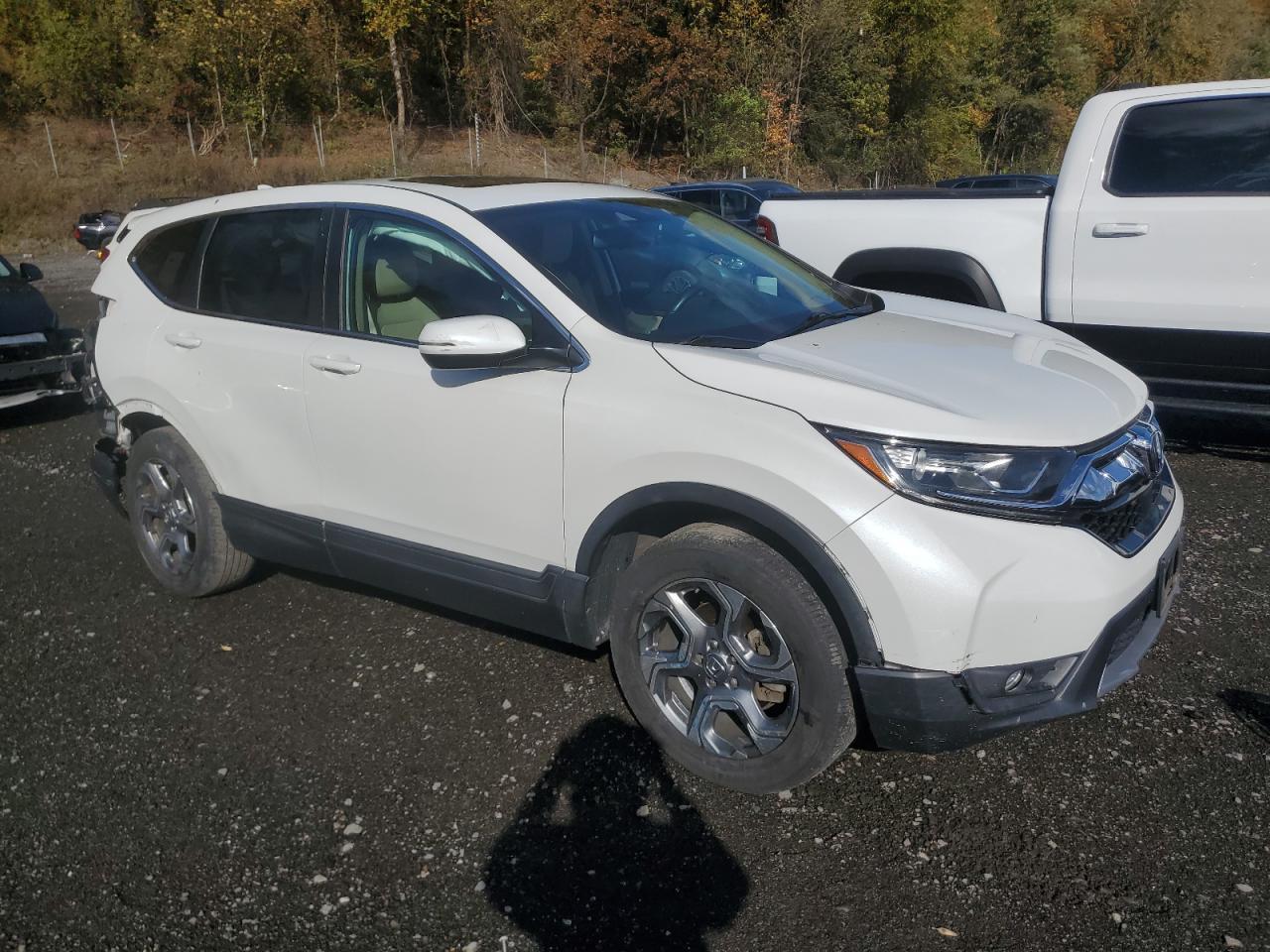 2019 Honda Cr-V Exl - Фото 4