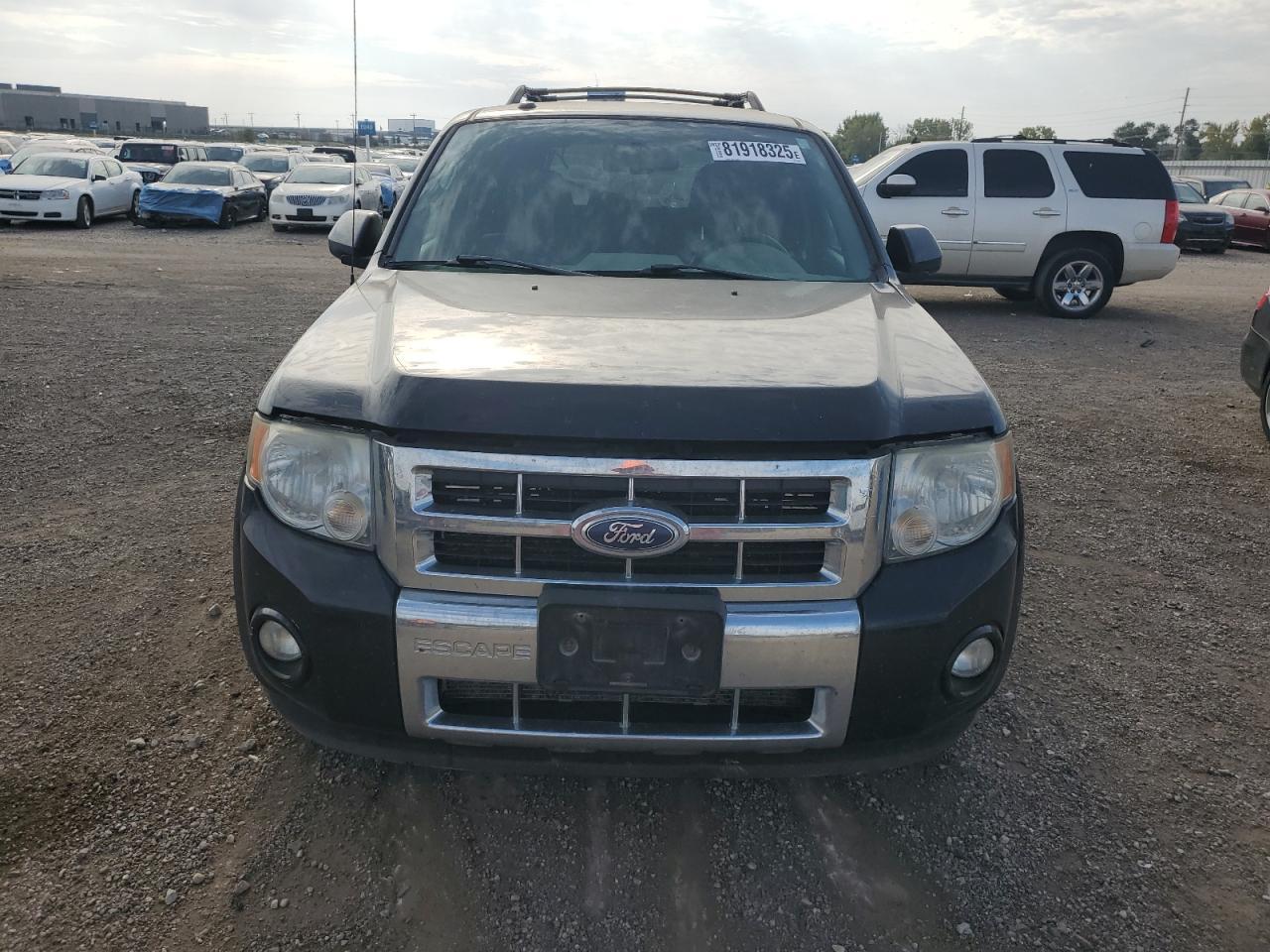 2010 Ford Escape Limited - Image 5