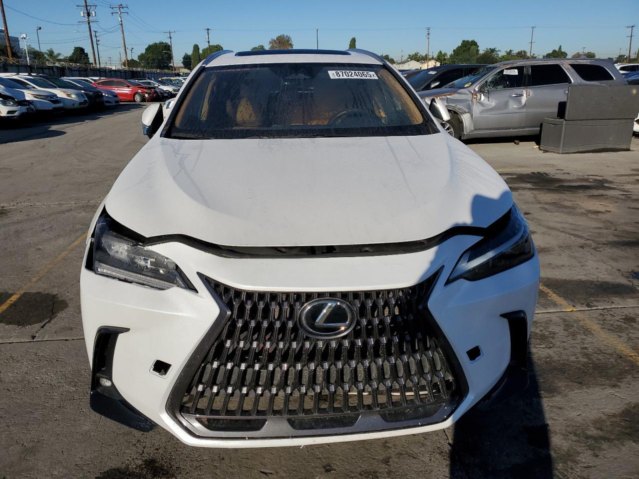 2024 Lexus Nx 250 Base - Фото 5