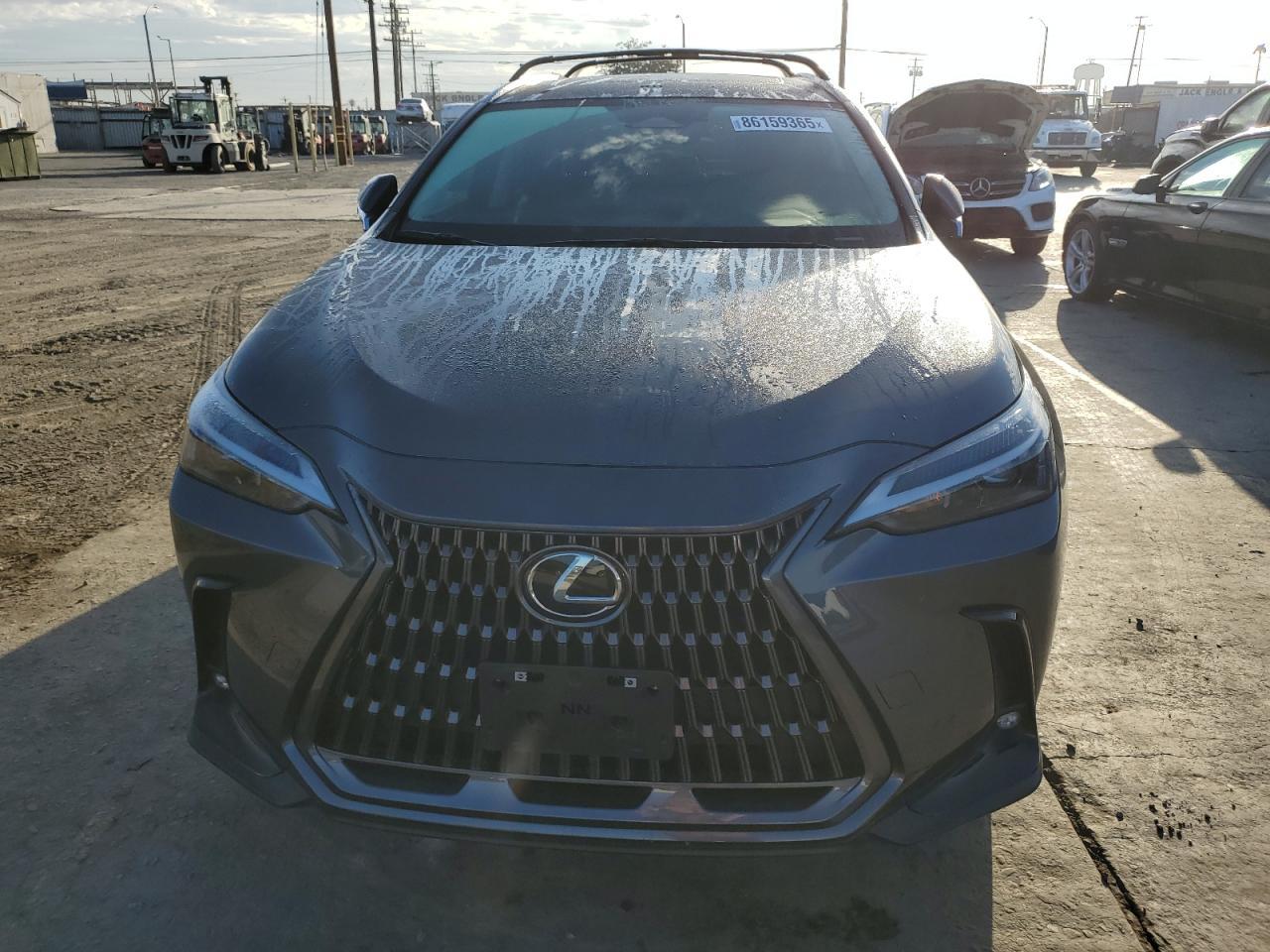 2024 Lexus Nx 250 Base - Image 5