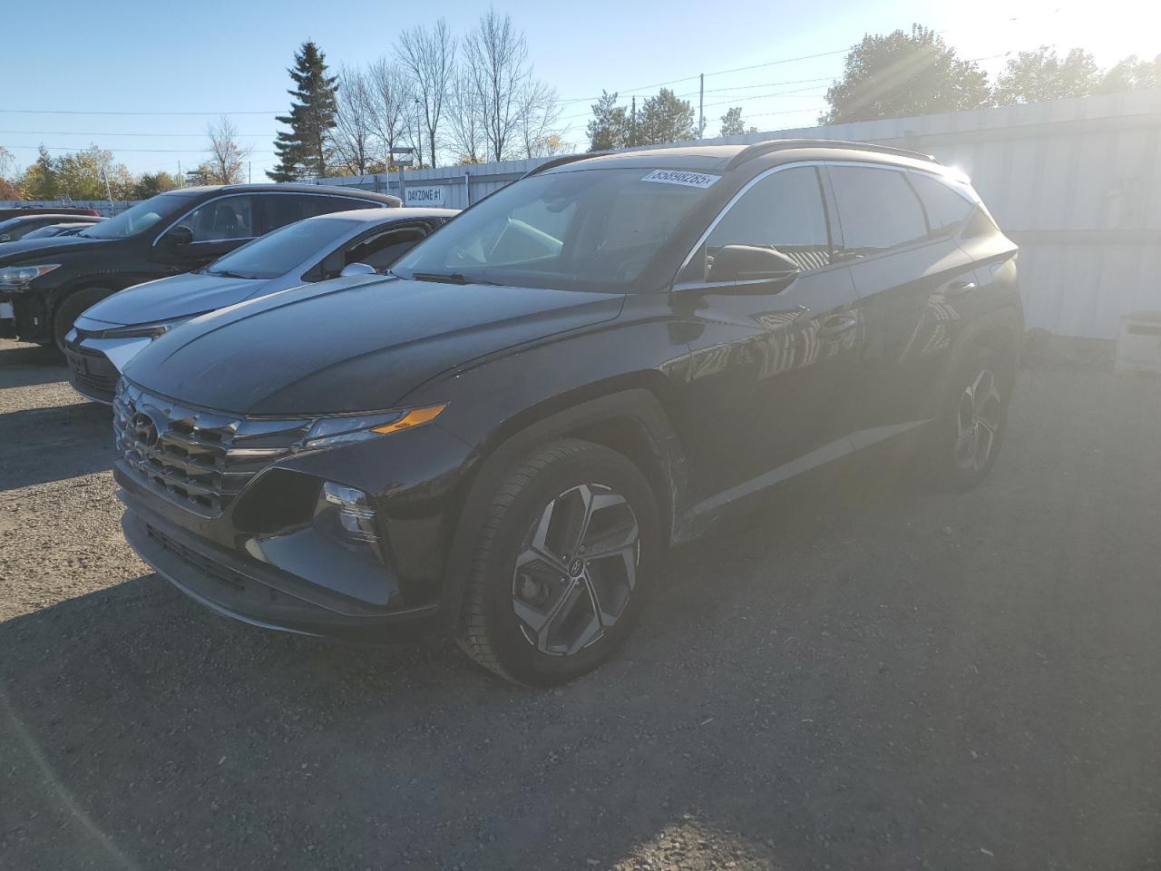 2024 Hyundai Tucson Sel Convenience