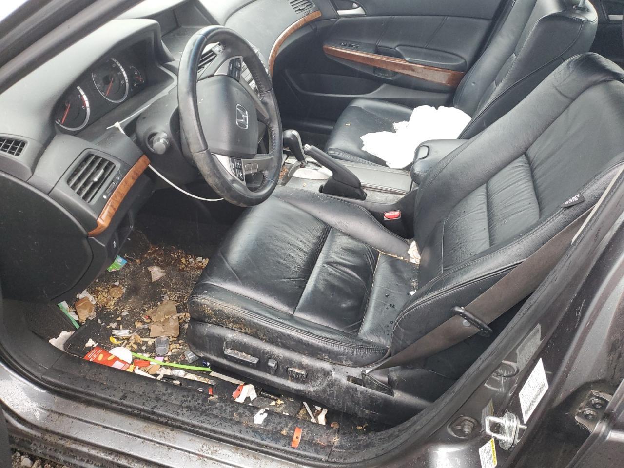 2011 Honda Accord Exl - Фото 7