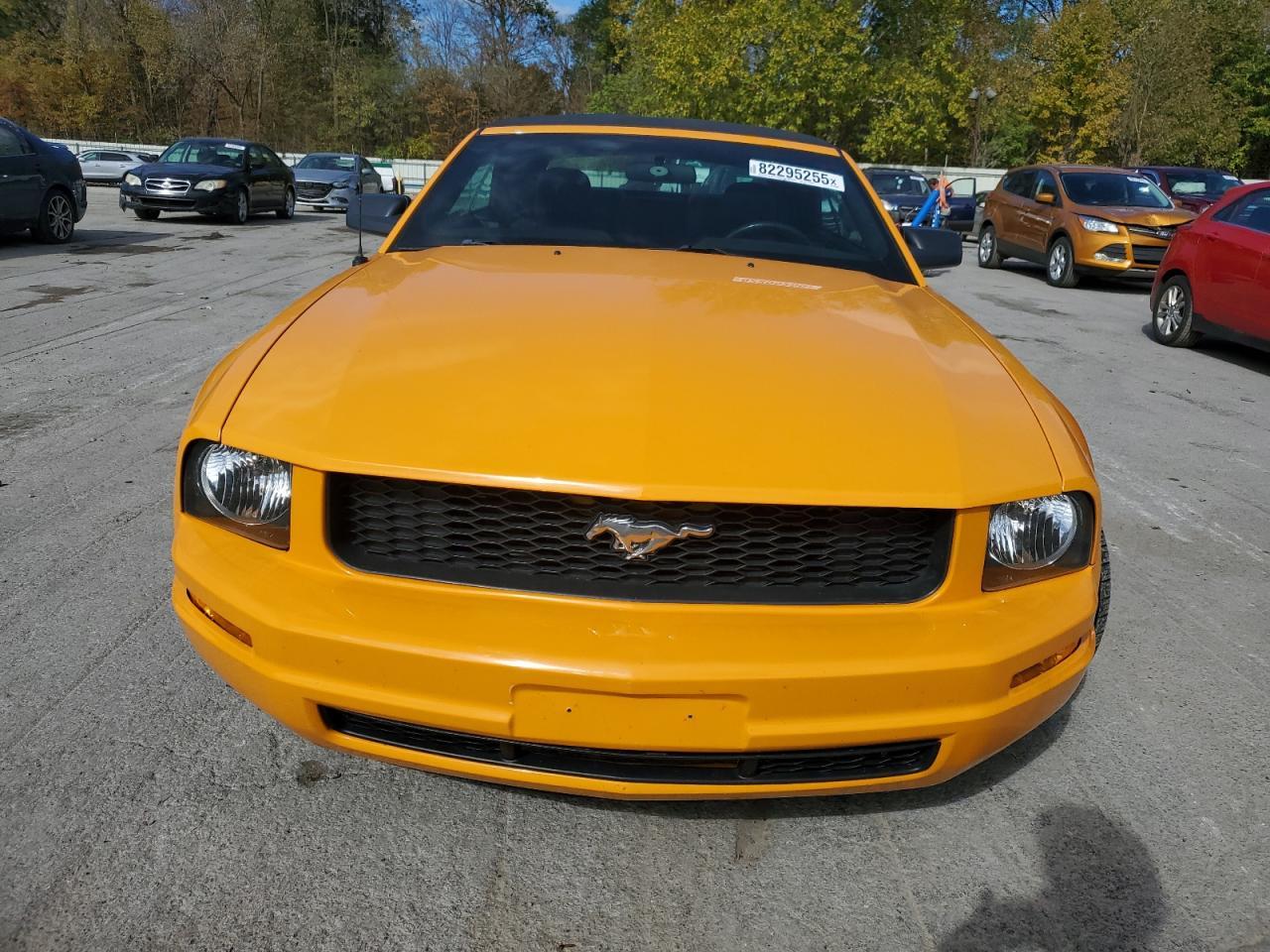 2007 Ford Mustang - Image 5
