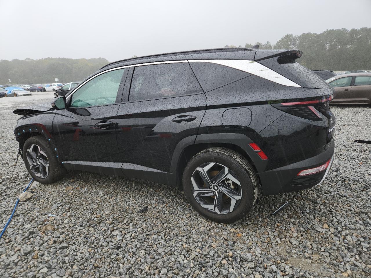 2024 Hyundai Tucson Hybrid Limited - Фото 2