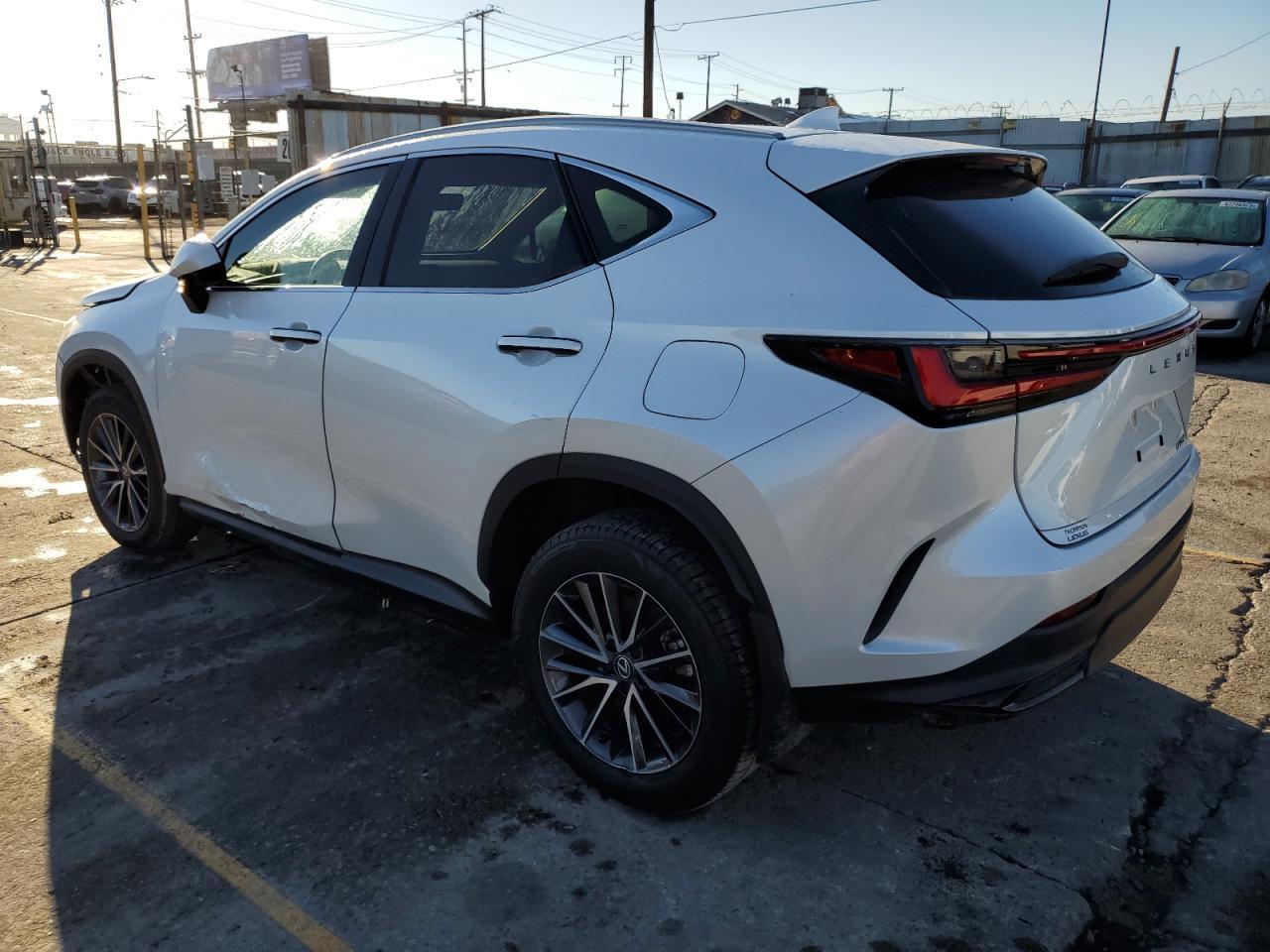 2024 Lexus Nx 250 Base - Фото 2