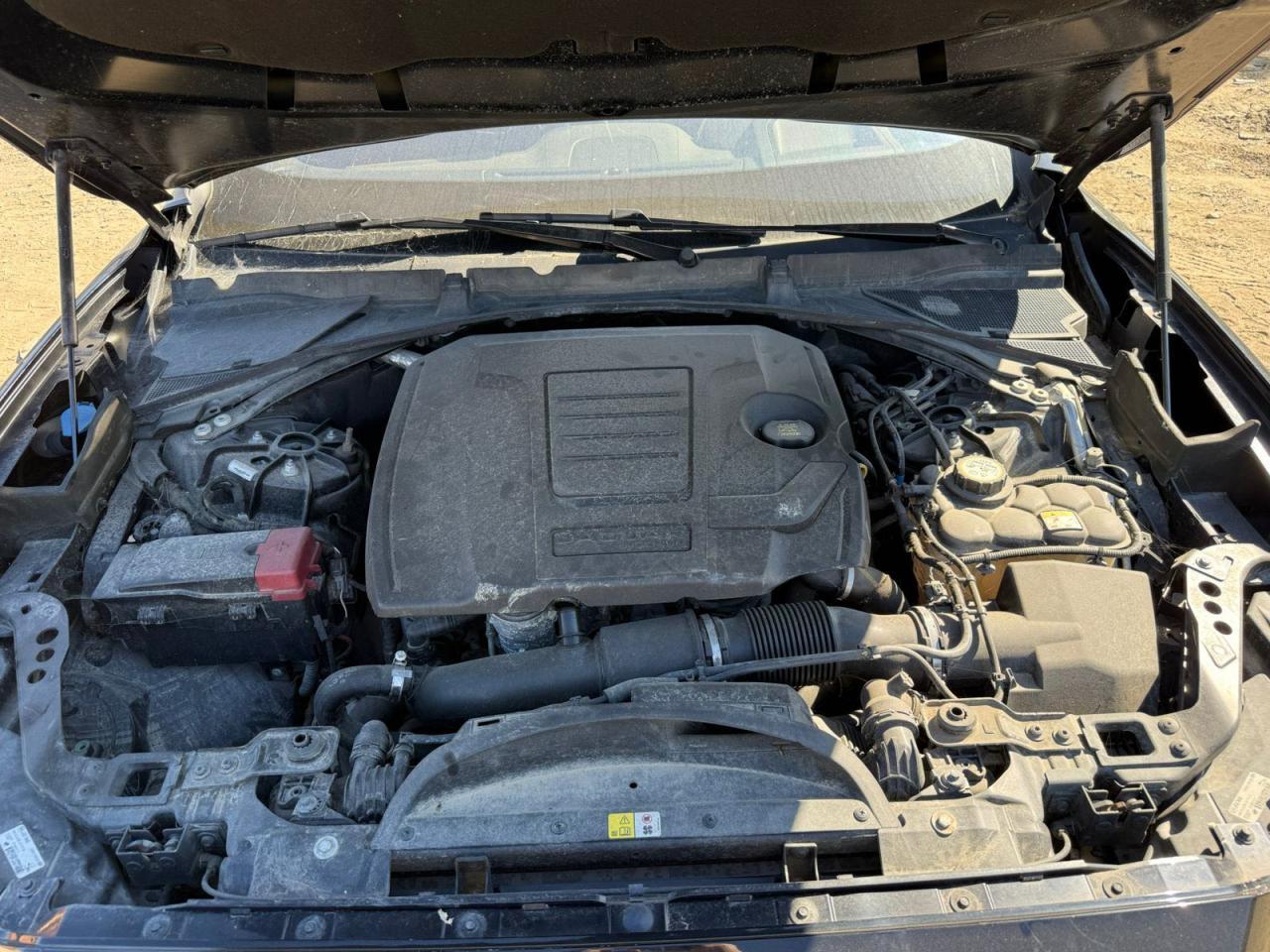 2019 Jaguar F-Pace R - Sport - Фото 7