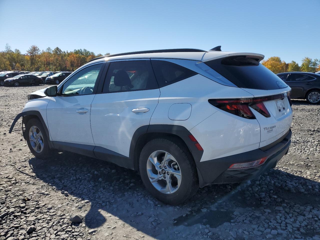 2024 Hyundai Tucson Sel - Фото 2