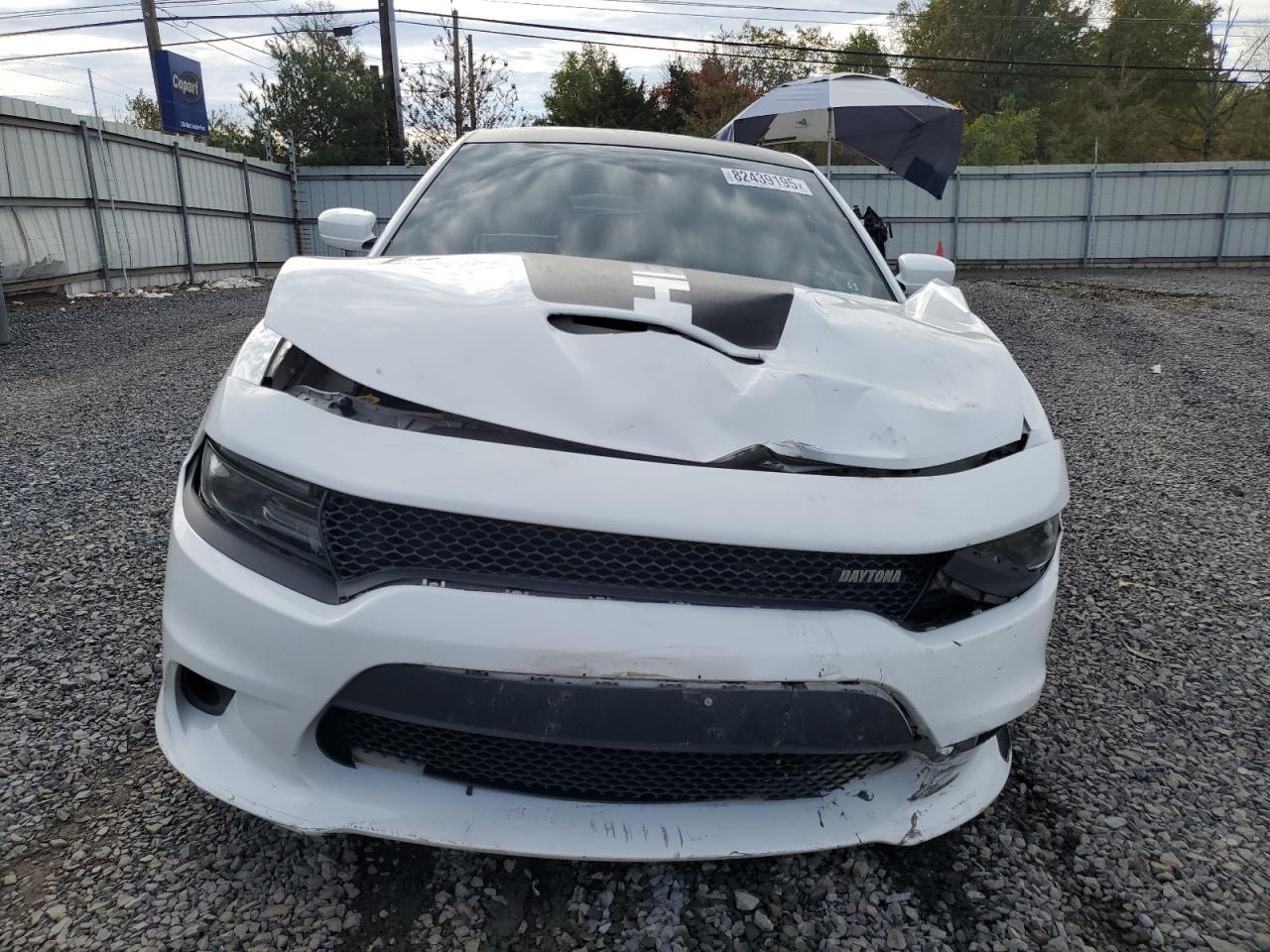 2019 Dodge Charger R/T - Фото 5