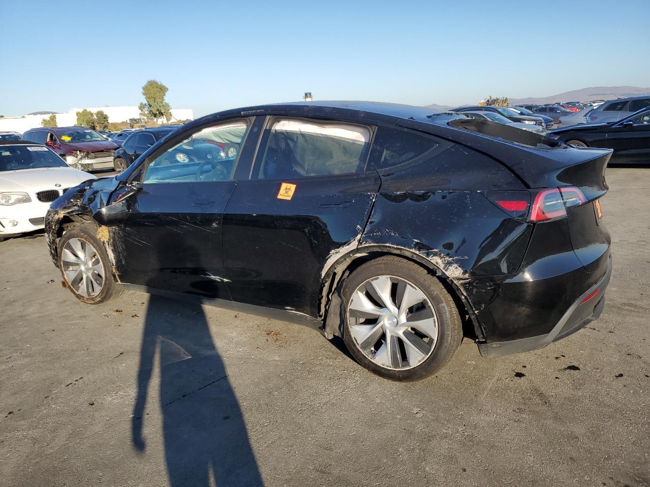 2023 Tesla Model Y - Фото 2