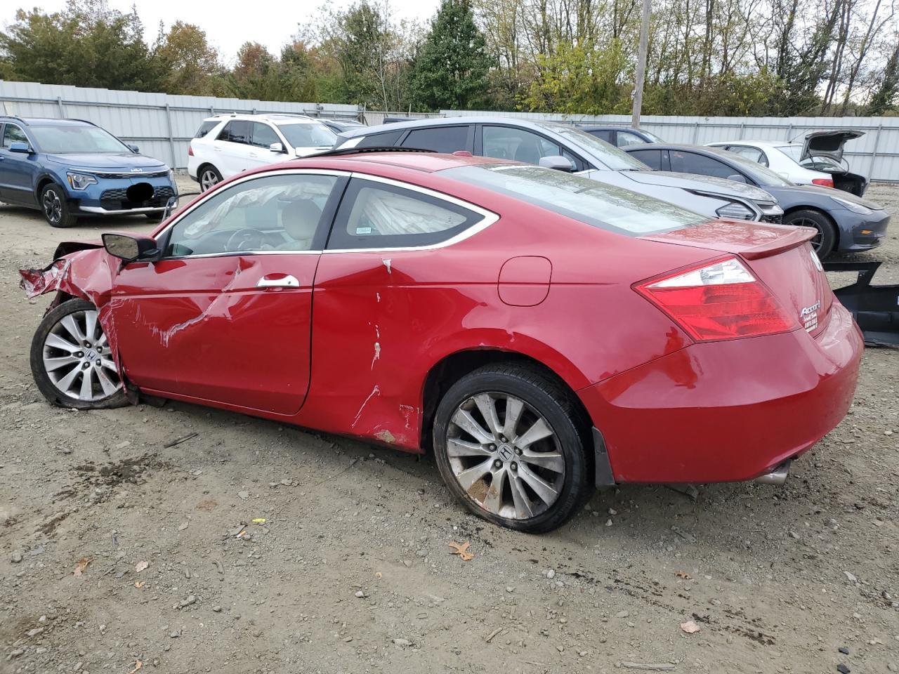 2008 Honda Accord Exl - Фото 2