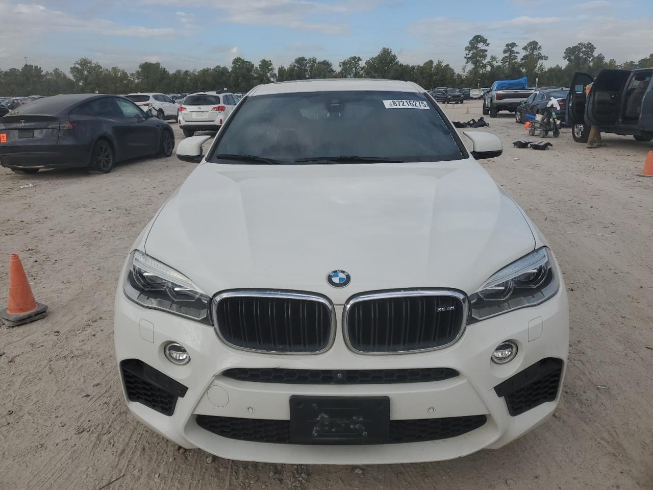 2018 BMW X6 M - Image 5