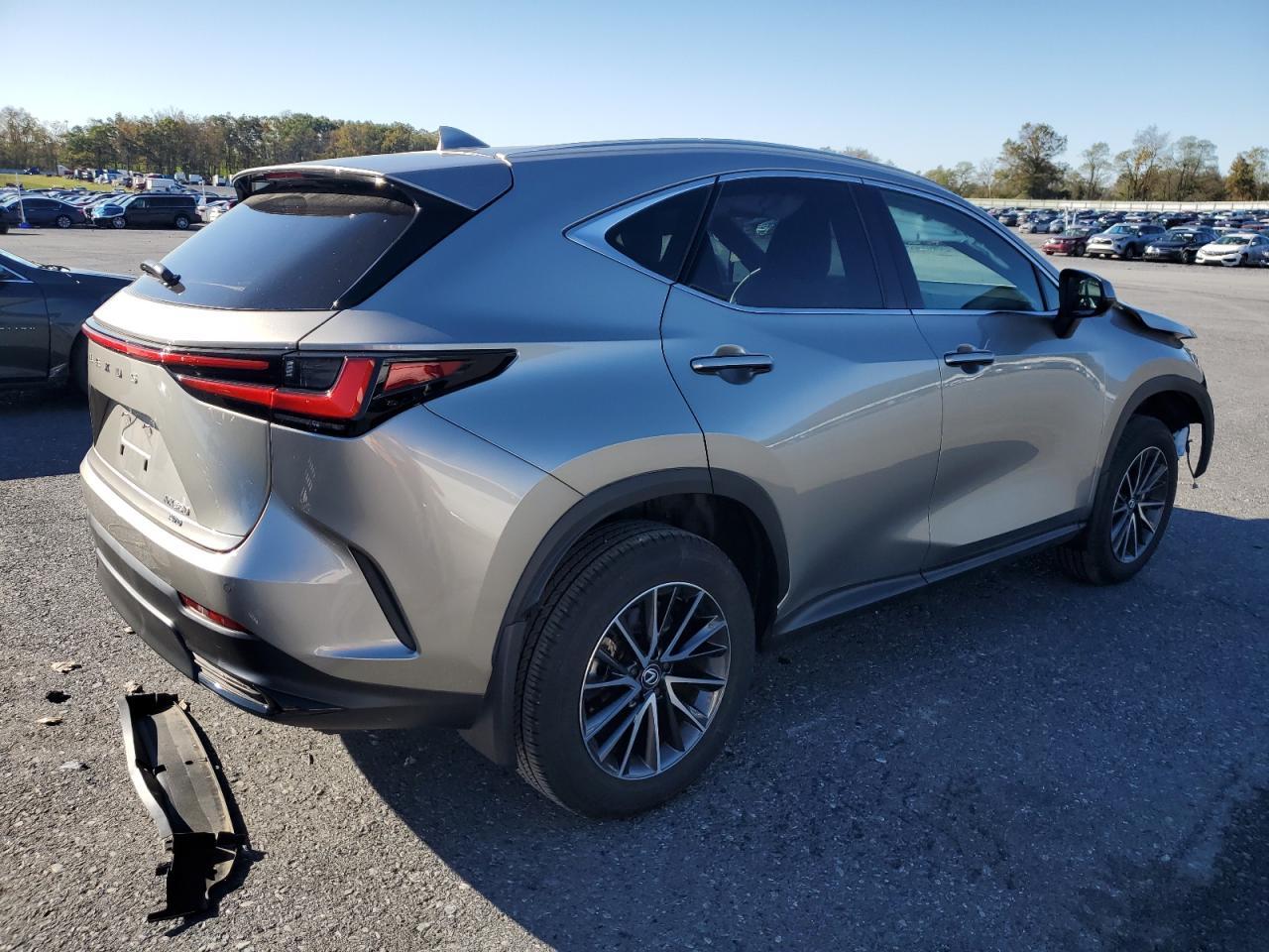 2024 Lexus Nx 350 Premium - Фото 3