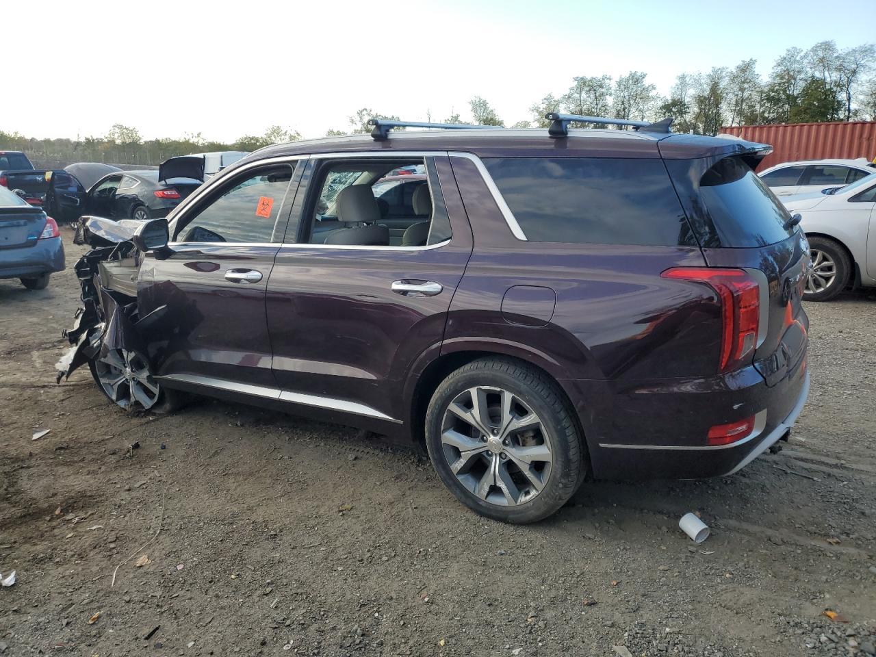 2021 Hyundai Palisade Limited - Фото 2