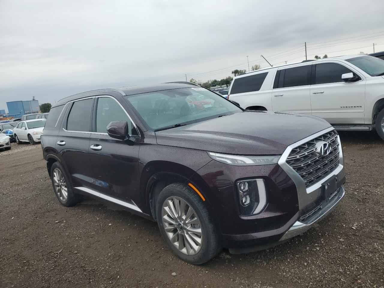 2020 Hyundai Palisade Limited - Фото 4