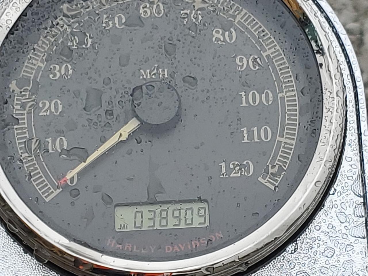 2007 Harley-Davidson Flstc - Image 7