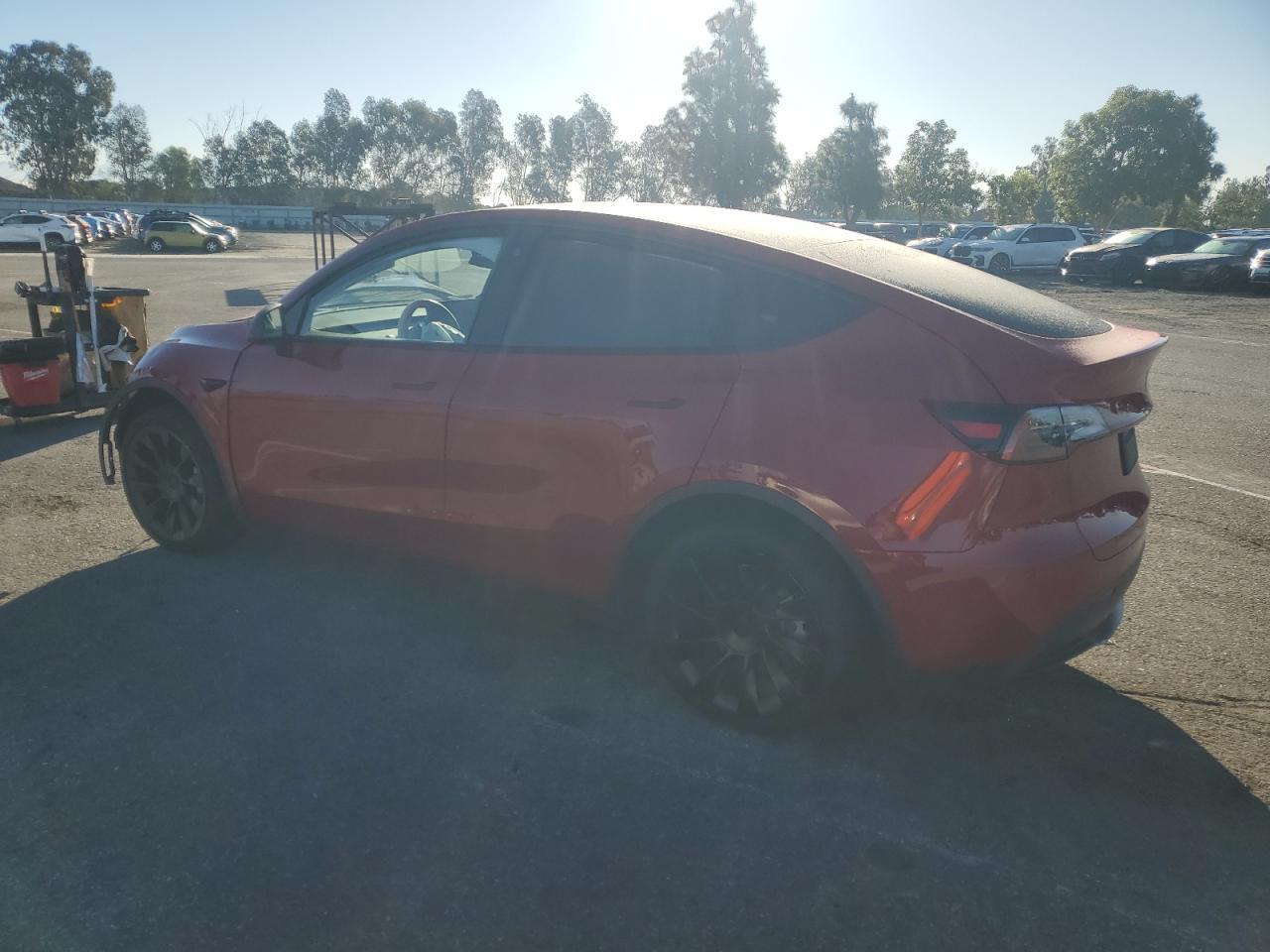 2022 Tesla Model Y - Фото 2