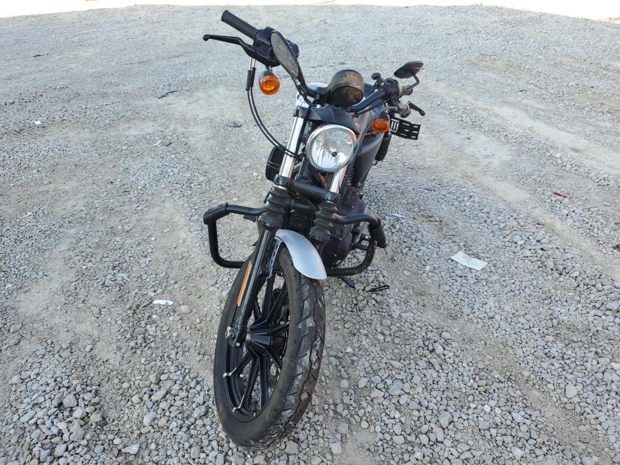 2020 Harley-Davidson Xl883 N - Фото 2