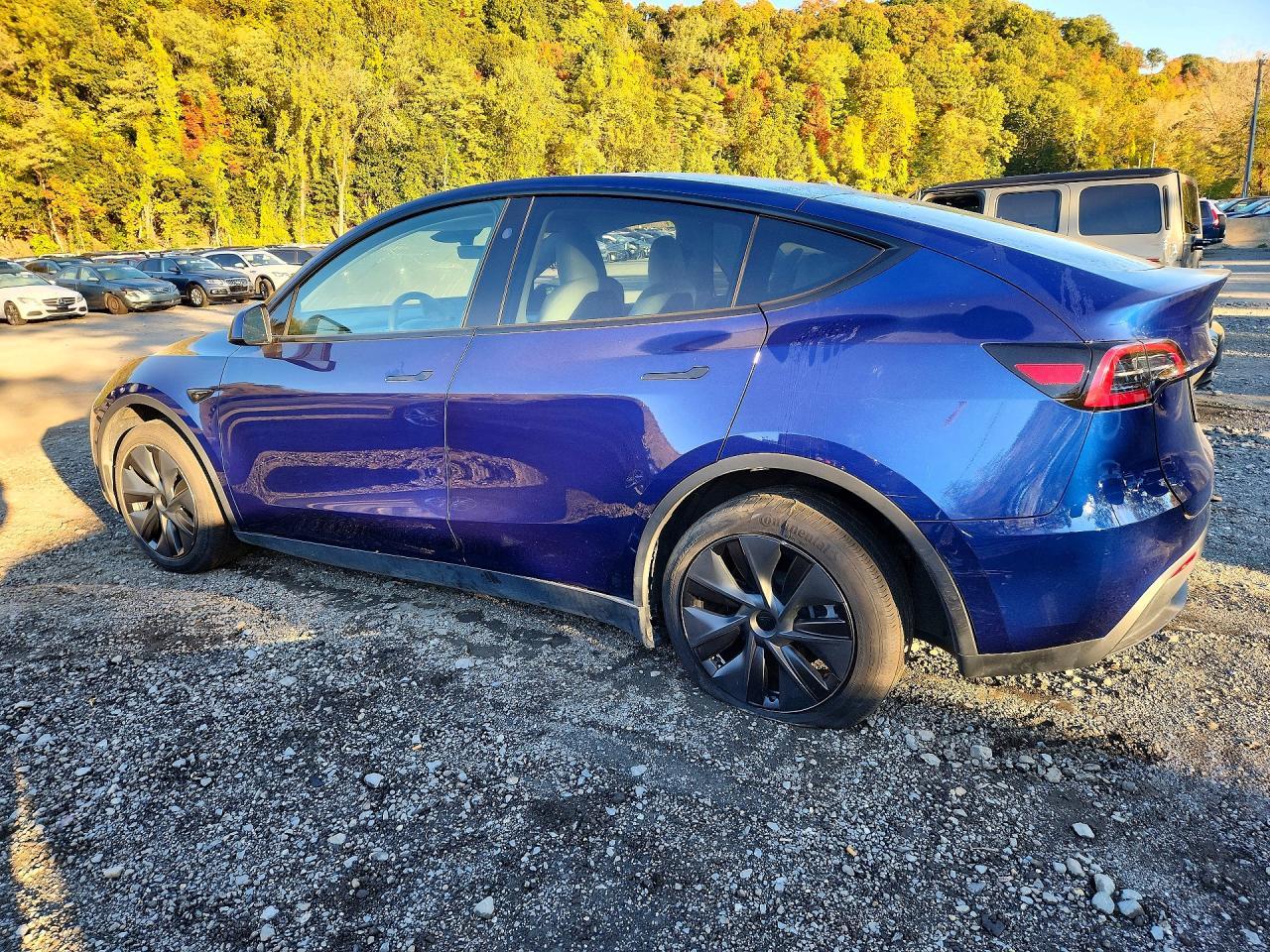 2025 Tesla Model Y - Фото 2