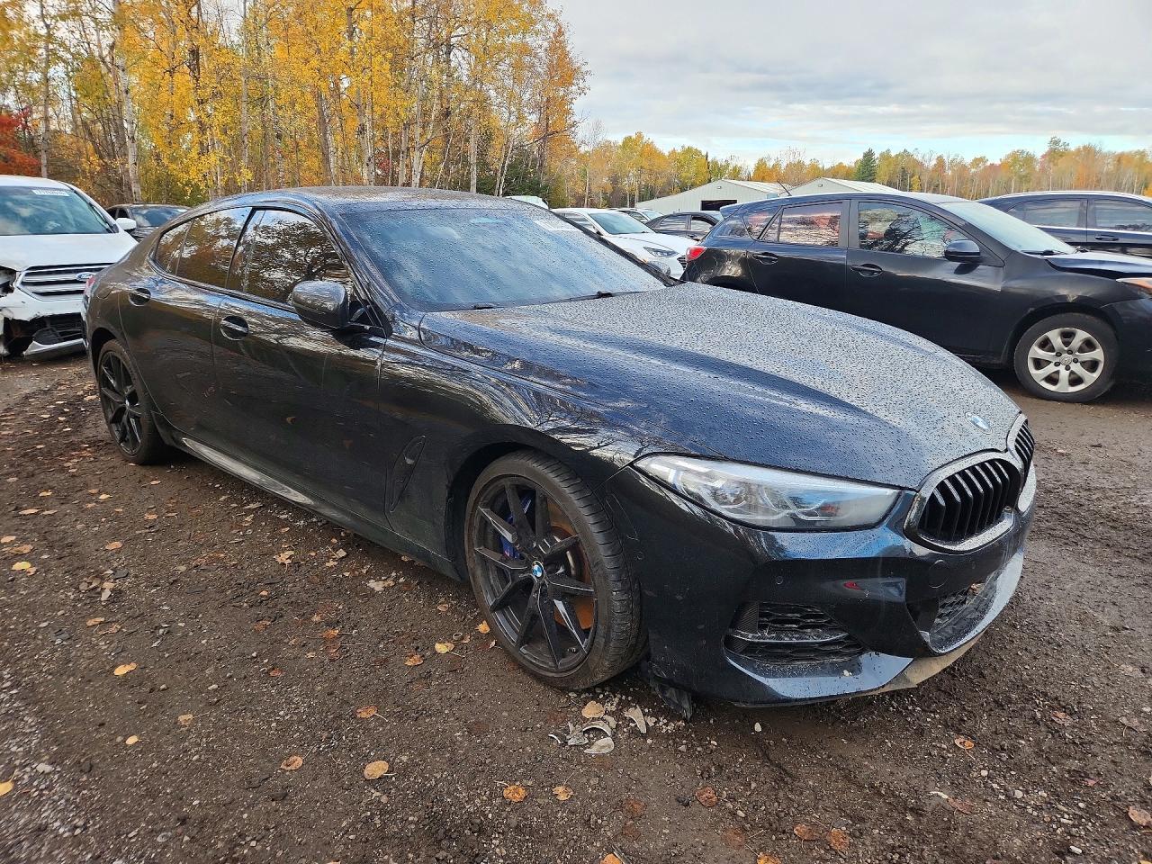 2020 BMW M850Xi - Фото 4