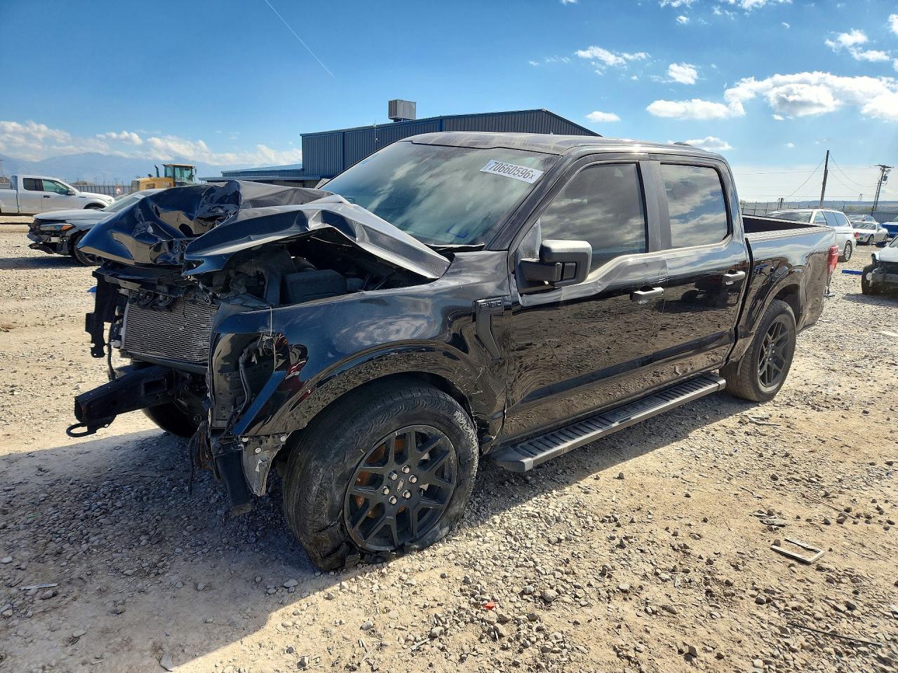 2024 Ford F150 Stx