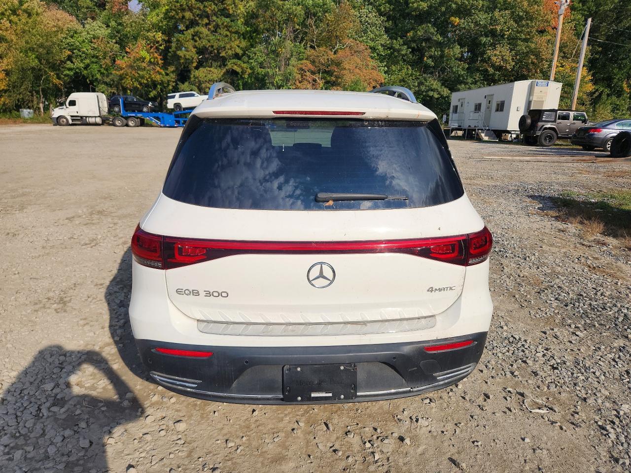 2023 Mercedes-Benz Eqb 300 4Matic - Фото 6