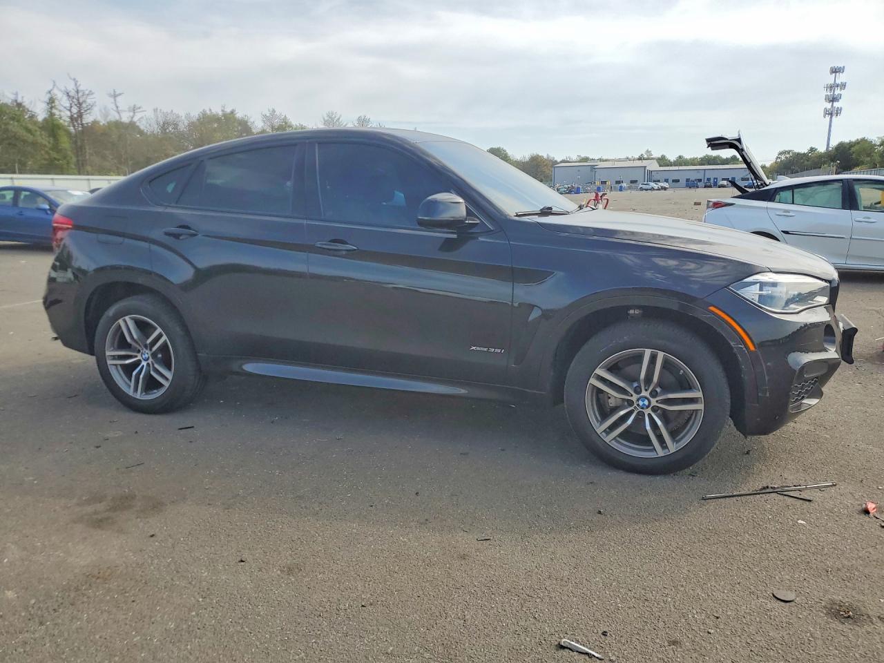 2019 BMW X6 xDrive35I - Фото 4