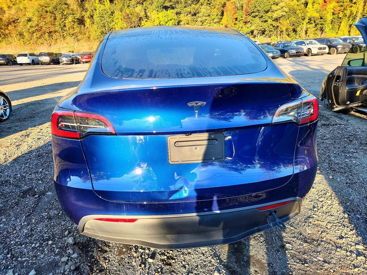 2025 Tesla Model Y - Фото 6